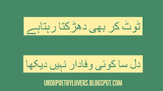 Images for Hindi Poetry about Life by Mohsin Naqvi