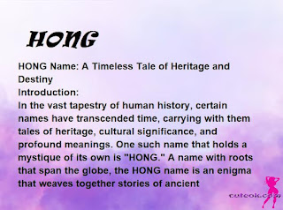 meaning of the name "HONG"