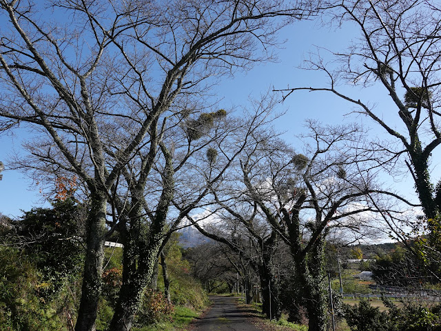 番原公園