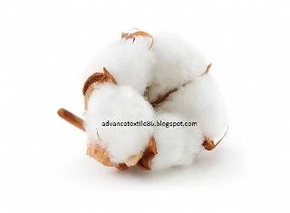 cotton fiber