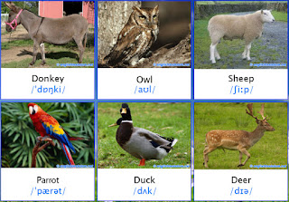 Nama-nama binatang dalam bahasa inggris (bergambar)