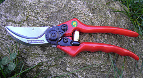 Berger Shears3