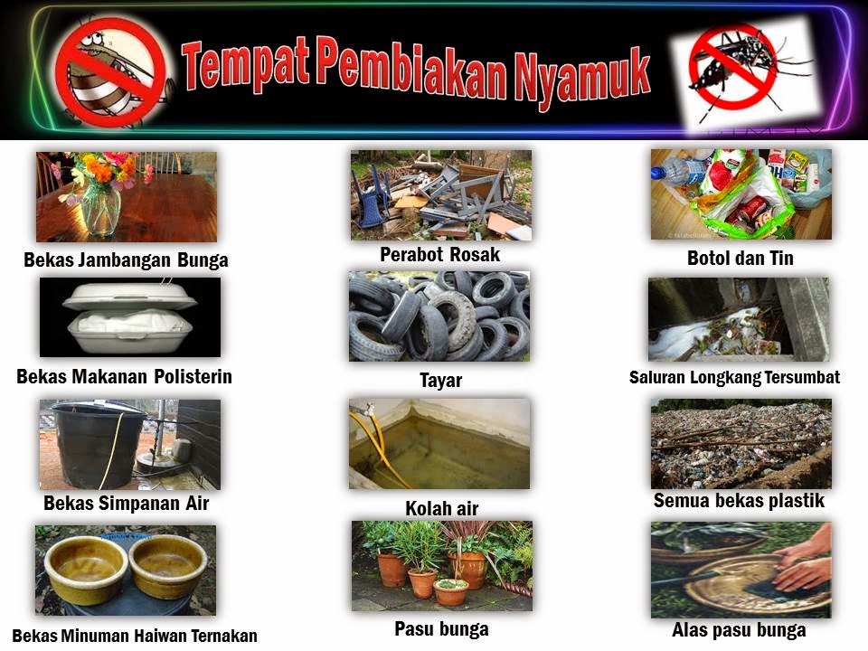 : Dengue Patrol :: TEMPAT PEMBIAKAN NYAMUK AEDES