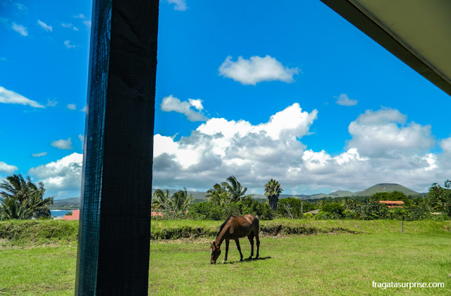 cavalo pastando em frente à minha varanda no Tupa Hotel, Ilha de Páscoa