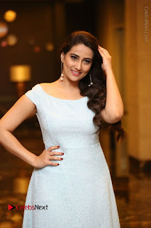 Telugu Television Anchor Manjusha Stills in Short Dress at Dhruva Salute to Audience Event  0063.JPG