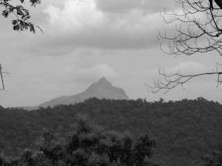 ಫೋಟೋ: ಚಂದ್ರಶೇಖರ ಬಿ.ಎಚ್. ಧರ್ಮಸ್ಥಳದಿಂದ,೨೦೦೯ Chandrashekara B.H. Dharmastha, 2009