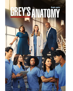 Grey’s Anatomy [Season 19][2023][DSNP][WEB-DL][720p][Latino]-TA_FI