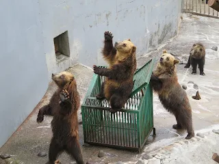 登別クマ牧場