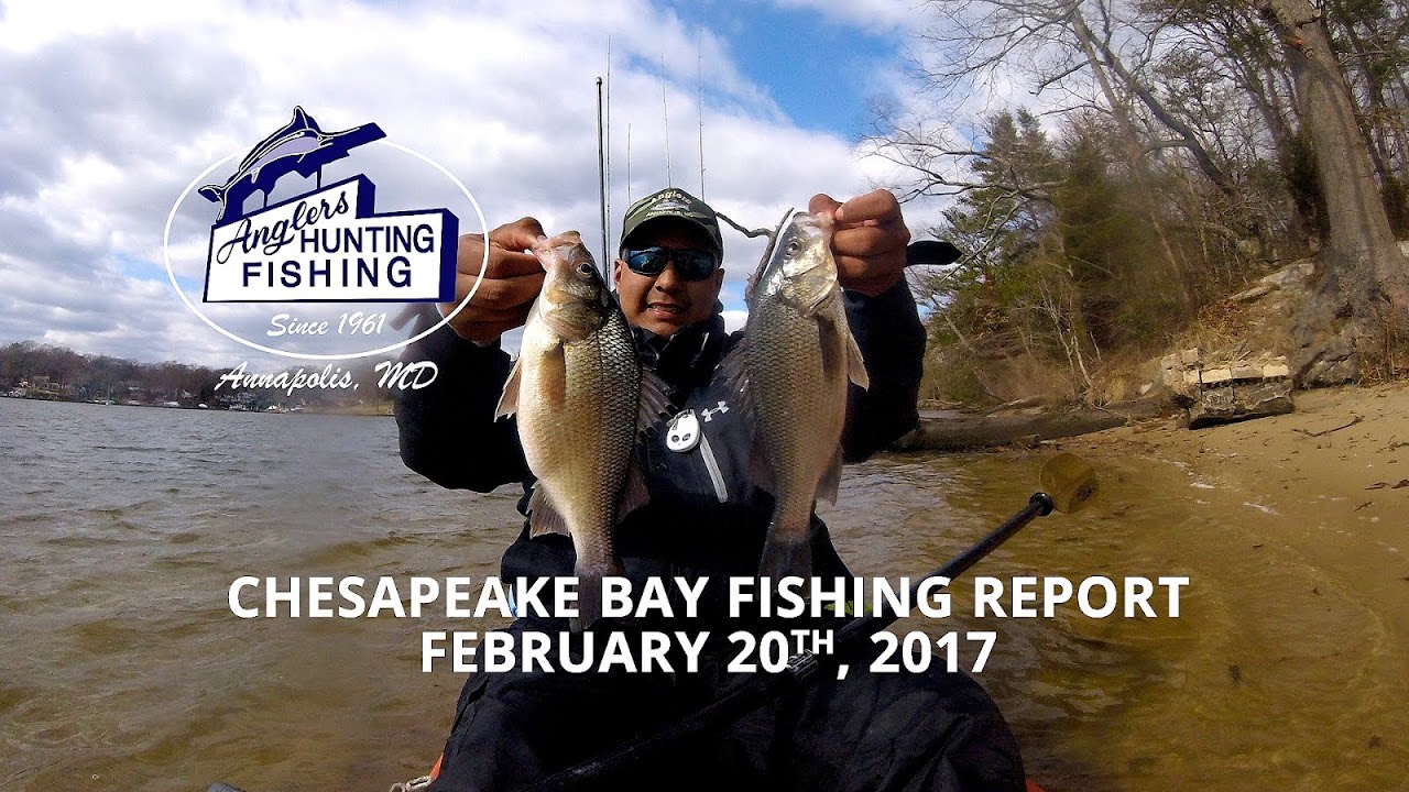 Lower Chesapeake Bay Fishing Hot Spots