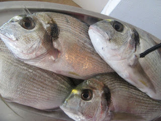 Riblja juha / Homemade fish soup