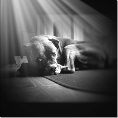 Angel Maggie 2011