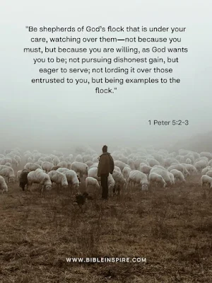 a man standing in front of a herd of sheep, sheep, bible verses about leadership