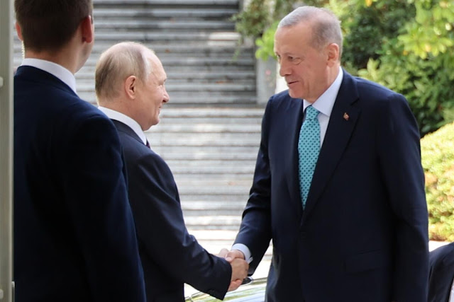 Putin tells Erdogan: we’re ready to discuss the grain deal