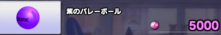 バレーボール
