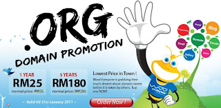 Lowest Price Org Domain Promotion