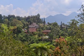Kebun Raya Cibodas, si Kebun Raya Cabang dari Kebun Raya Bogor! 