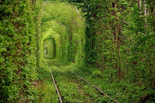 Tunnel of Love, Ukraine 