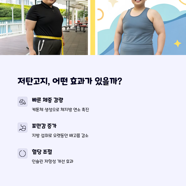 다이어트정보