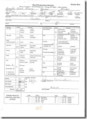 Evaluation of Ebony