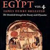 Ancient Records of Egypt: The Twentieth Through the Twenty-Sixth Dynasties, Vol. 4 by James Henry Breasted