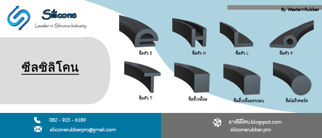 ซีลยาง silicone