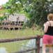 View album