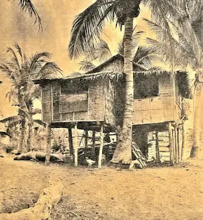 Nipa hut