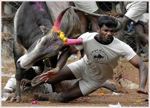 Photos Clicked At Right Moment