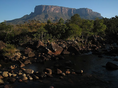 Mount/Monte Roraima Pictures