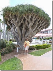San diego 014