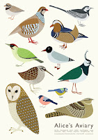 Bird Poster