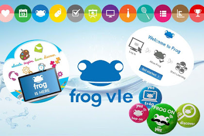 What Is Frog Vle