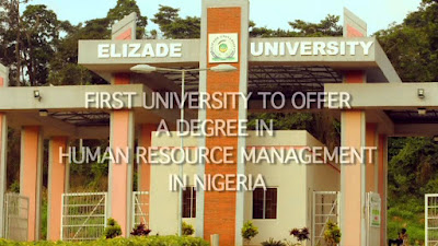 Elizade University