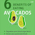 Benefits Of Eating Avocados