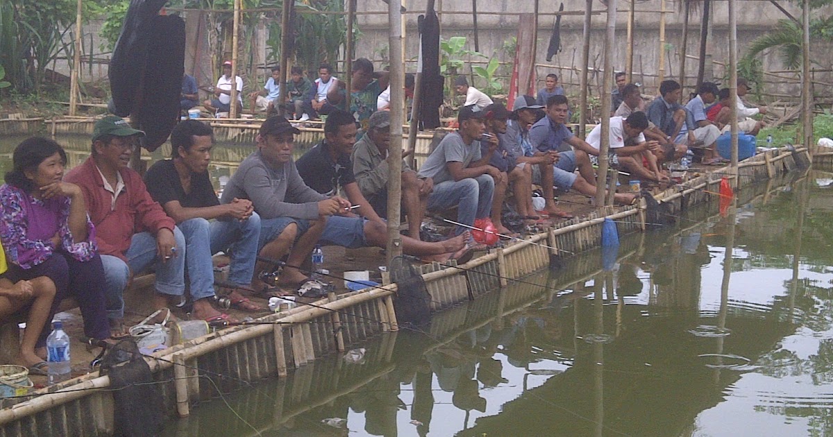 Umpan Pelet Serbuk Ikan Patin Di Kolam Pemancingan - Toko ...