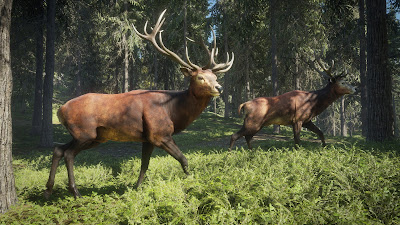 theHunter™: Call of the Wild