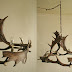 Bespoke Antler Chandeliers - Real Shed Antlers