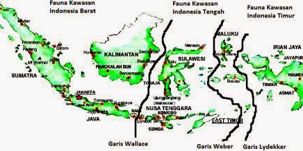 Penyebaran Fauna Indonesia