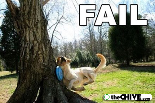 Funny animal fail pictures |Clickandseeworld is all about Funny ...