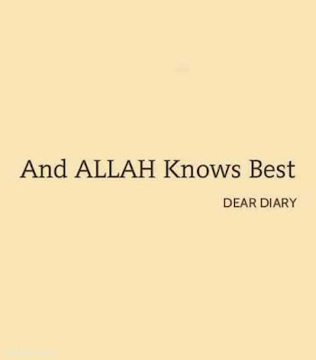 beautiful islamic thoughts and quotes dear diary images 5