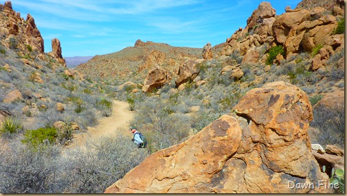 Grapevine to Balanced rock_032