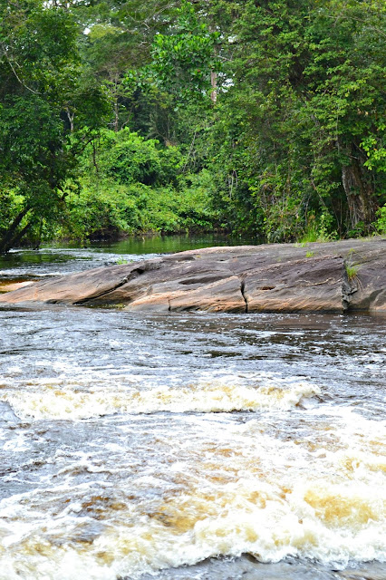 Guyane, crique Organabo, se baigner