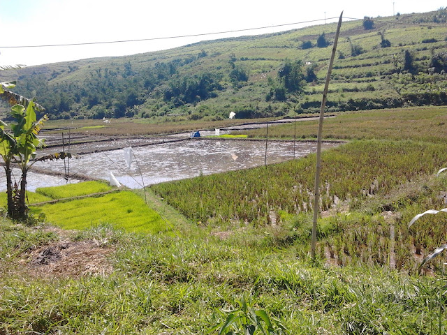 Tanah Dijual Di Malang Butuh Uang