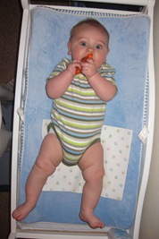 24 January 2010 004.1