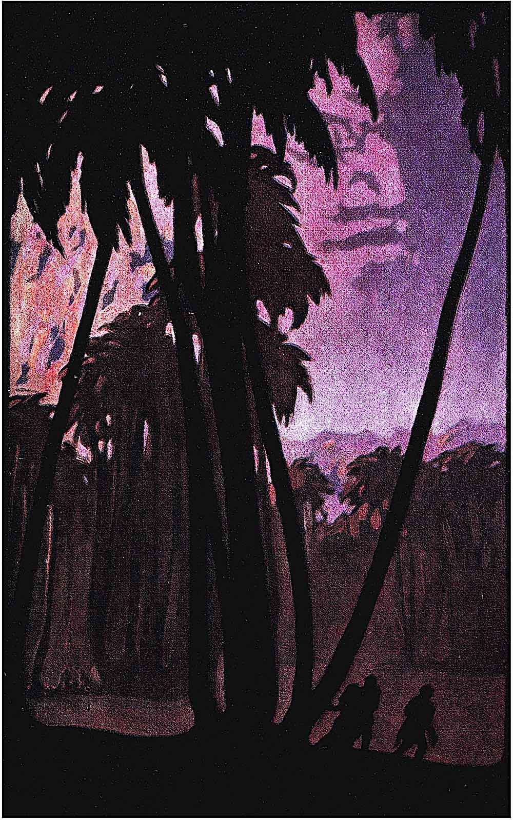 a Maynard Dixon illustration of purple palm trees 1908