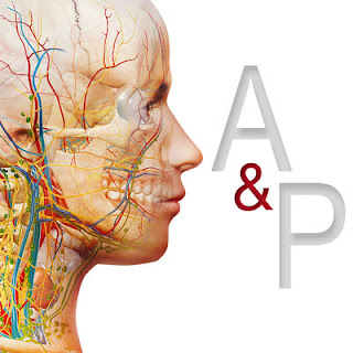  Anatomy & Physiology on the Mac App Store 