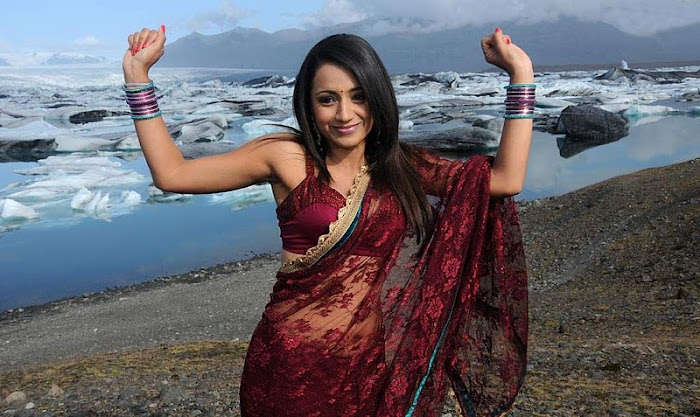 trisha in transparent saree cute stills