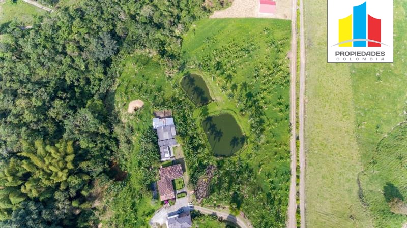 Lotes campestres en Pereira, con hermosas vistas de la región