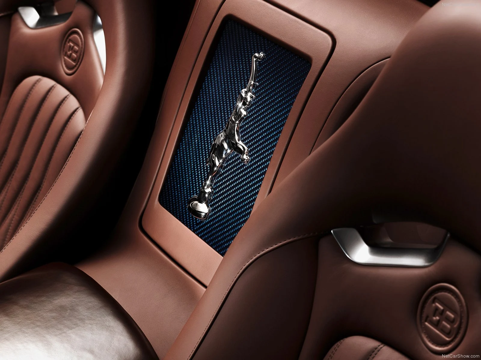 Hình ảnh siêu xe Bugatti Veyron Ettore Bugatti 2014 & nội ngoại thất