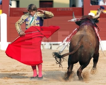 EL CORDOBES OVIEDO TOROS EFE